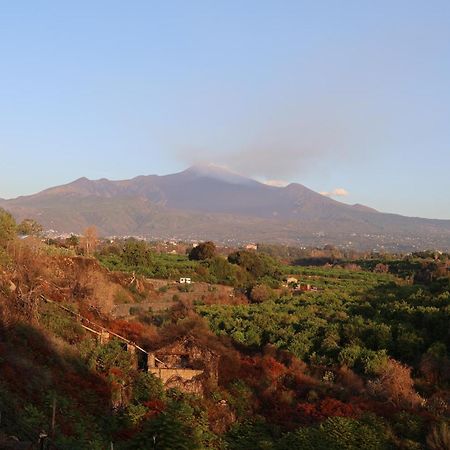 Il Pampaleone Glamping And Resort อาชิเรอาเล ภายนอก รูปภาพ