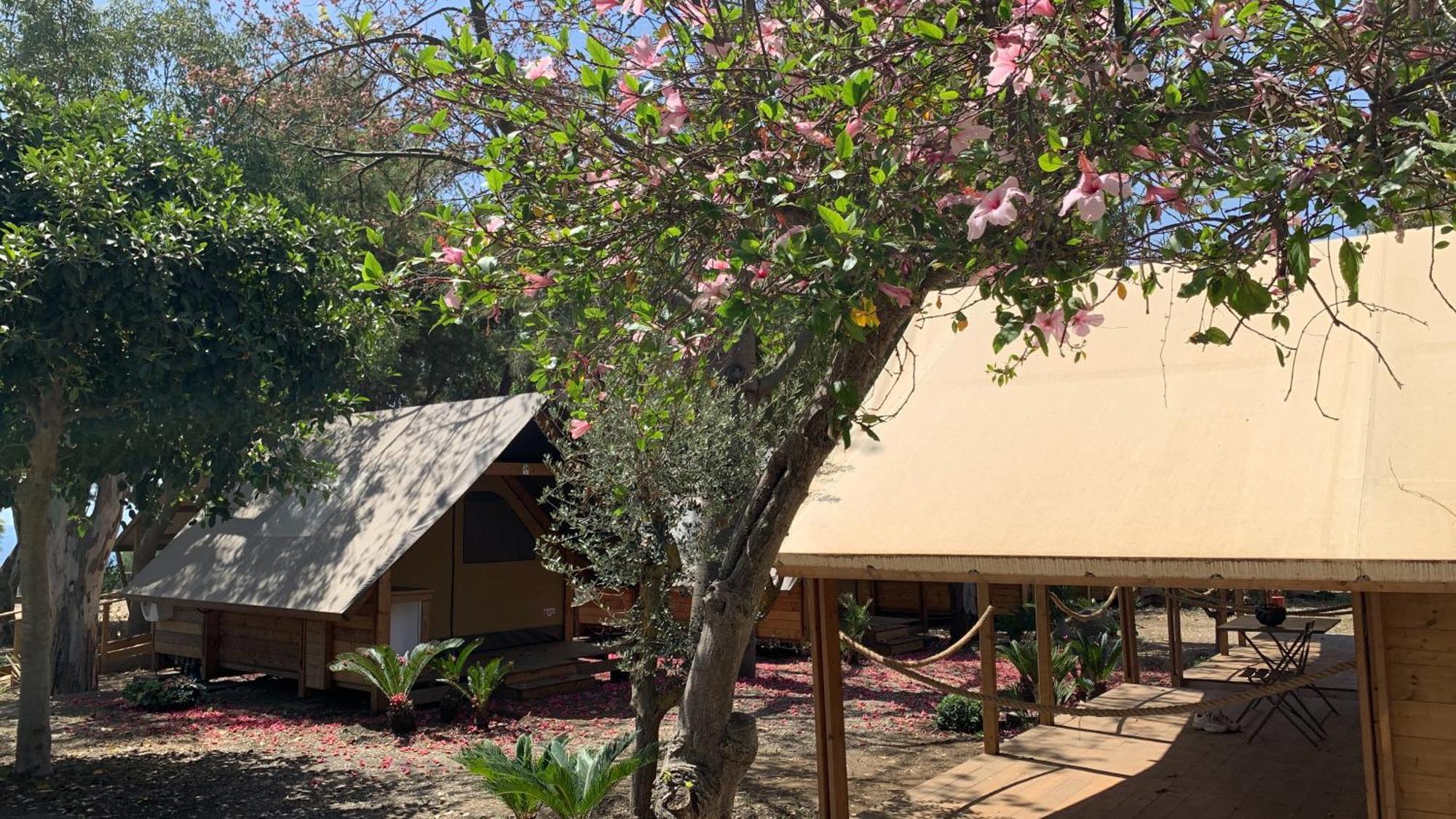 Il Pampaleone Glamping And Resort อาชิเรอาเล ภายนอก รูปภาพ